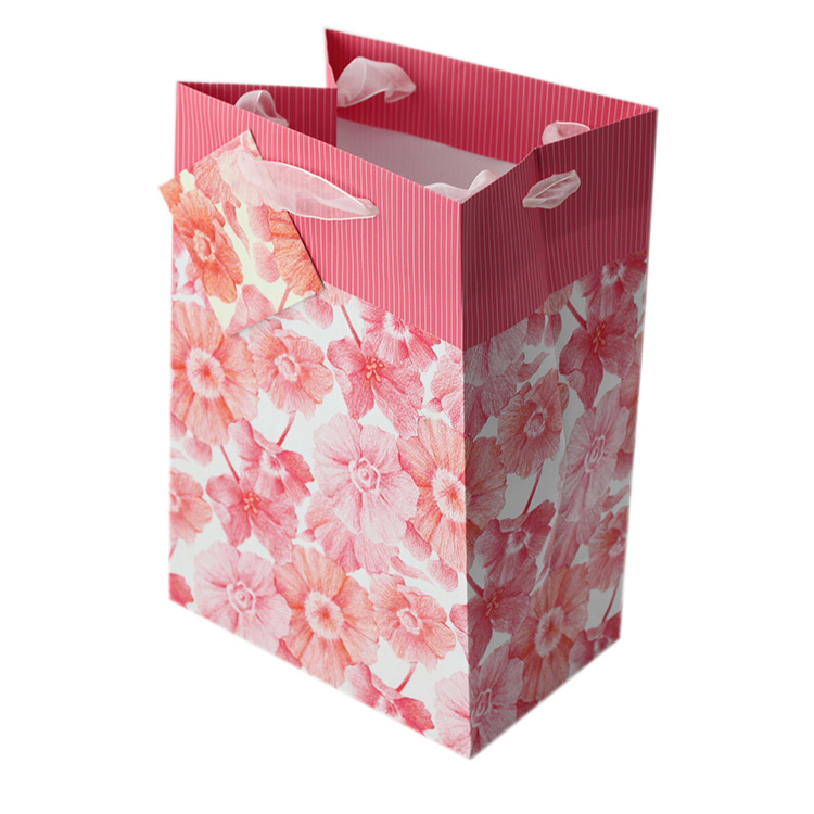 High Quality christmas gift shopping paper bag,paper gift bag large 