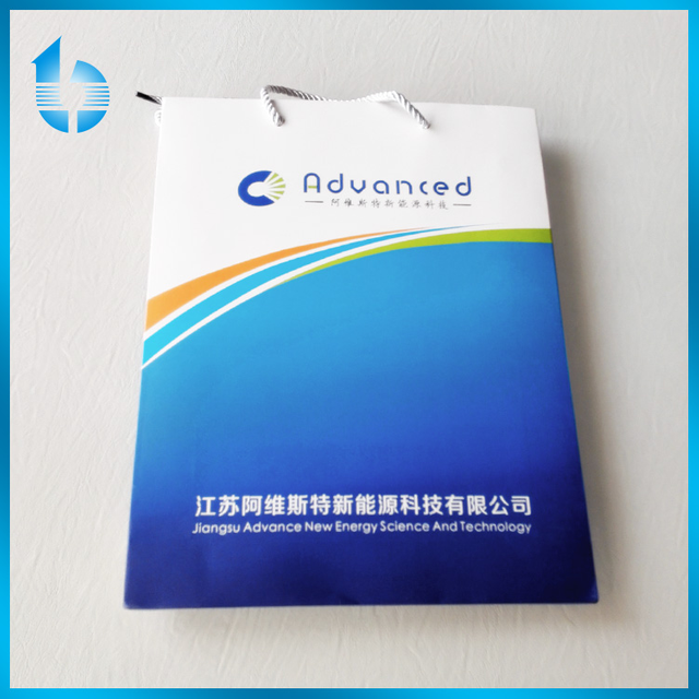 Wholesale Direct Supply Safety Hand Paper Bag For High-tech Products