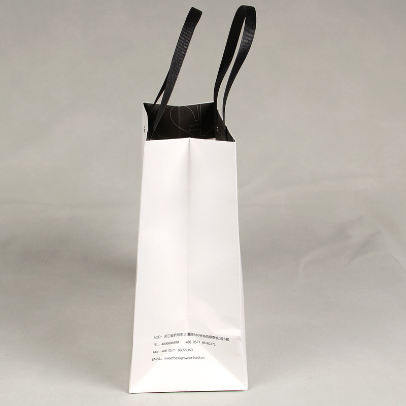 Free Sample Custom Specialty Paper Handbag For Shopping