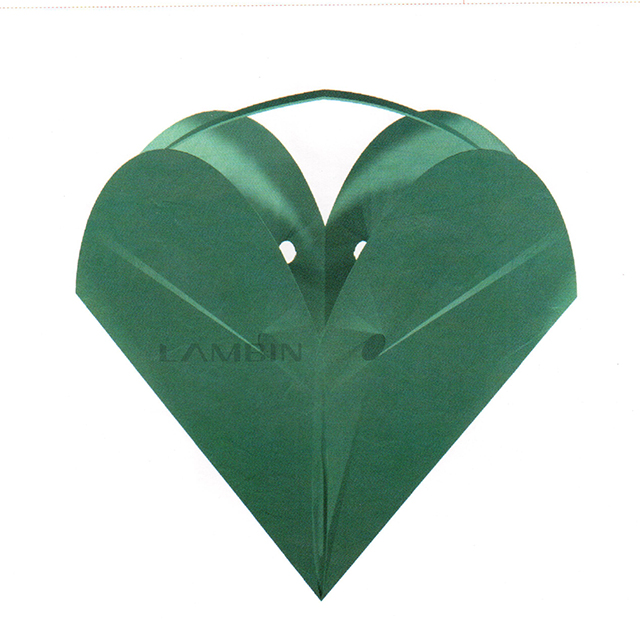 heart shape chocolate packaging