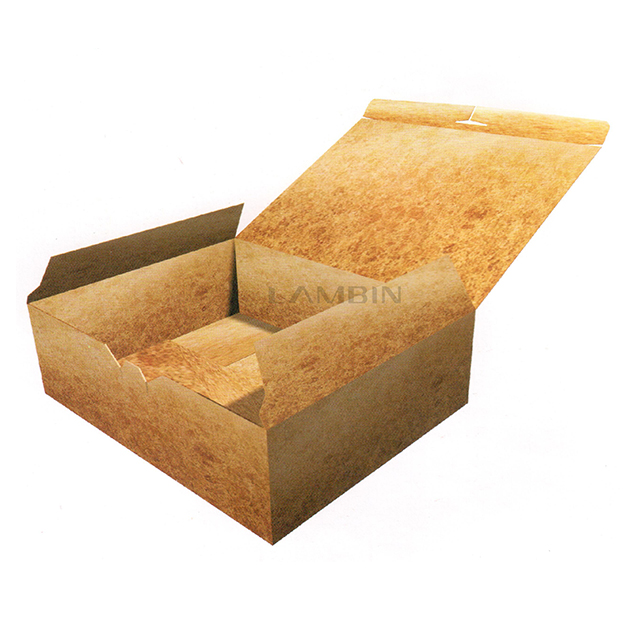 auto-locking structure packaging box
