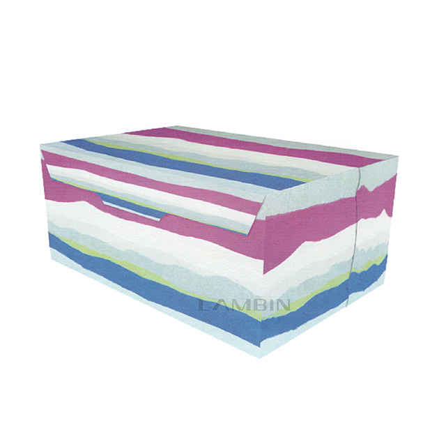 Tray-like Folding Box with Locks Box