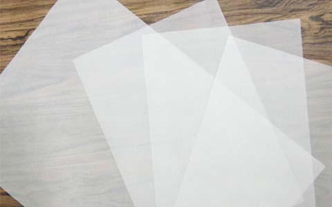 Litmus paper