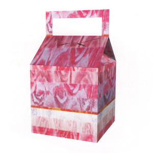 house-shaped paer box